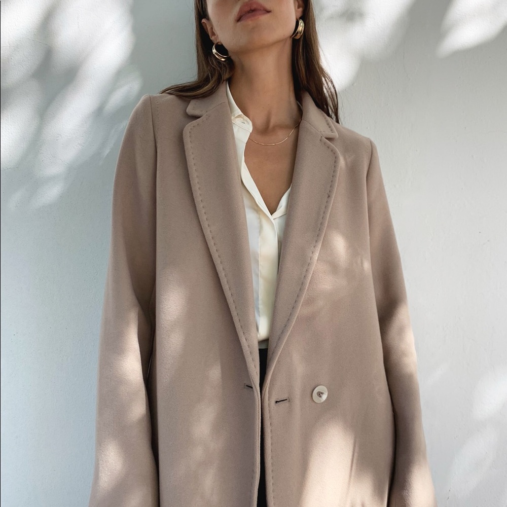 Aritzia Babaton stedman LINED-S dovetail taupe - Picture 2 of 5